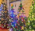 Visit BG Christmas Tree Festival - Info